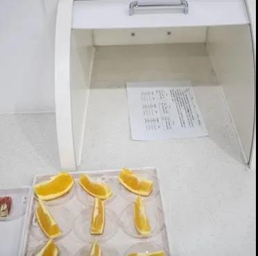 19.jpg 19.jpg